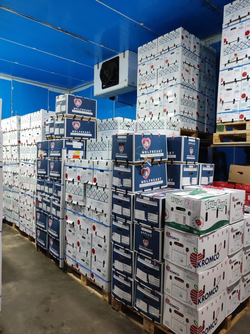 Fresh Produce — Prospect Trading warehouse photo 6
