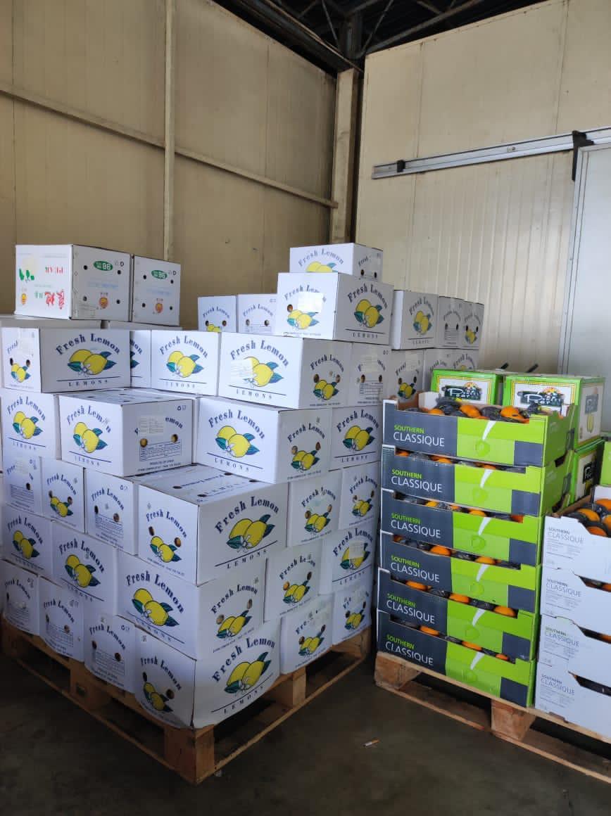 Fresh Produce — Prospect Trading warehouse photo 3