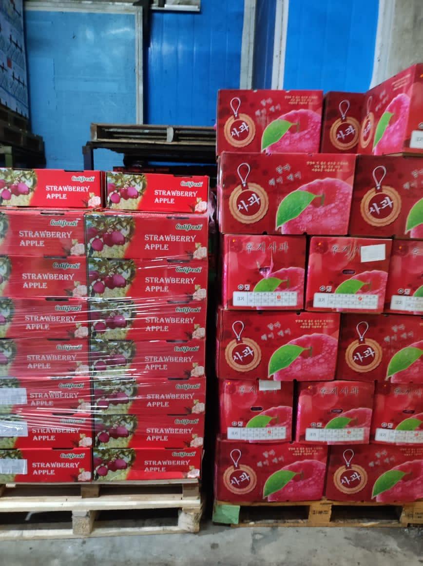 Fresh Produce — Prospect Trading warehouse photo 2